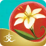 Soul Lessons Oracle Cards icon