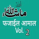 Fazail Amal Vol 2 ( Hindi ) icon