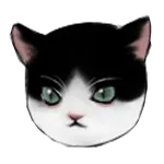 CATPANG icon