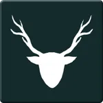 DearRun icon