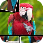 JigPic World Journey icon