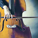 Contrabass by Ear icon