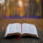 CCC 2023 Bible Lesson(English) icon