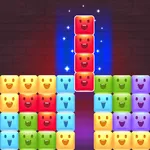 Color Block Master: Gem Puzzle icon