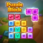 Master Puzzle Block icon