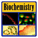 Basic Biochemistry icon
