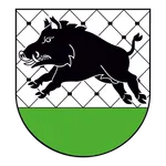 Gmina Debrzno icon