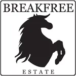 Breakfree Estate icon
