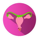 HYST icon