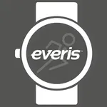 Everis icon