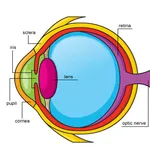 Optics Quizz icon