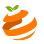 Orange Market icon