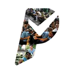 Payism icon