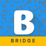 Bridge - Sync with iPhone icon