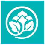 Oriental Princess Kh icon