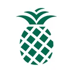 PineApp icon