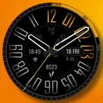 PILOT - Analog luxury classic icon