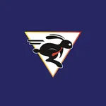 Pacesettter Tax icon