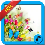Relax ringtones icon