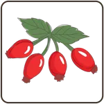 Poisonous Plants icon