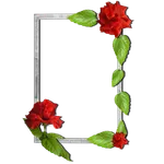 Floral photo Frames icon