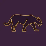 VPN Panther: Express & Secure icon