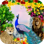 Peacock & Nature Photo Frames icon