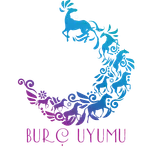 Burç Uyumu icon