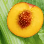 The 80/10/10 Hub icon