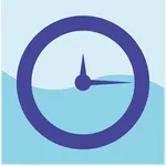 brave timr icon
