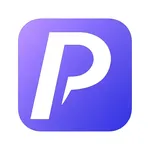 Paykonet icon