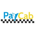 PayCab - Passenger icon