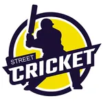 Cricket Scorer (No Internet) icon