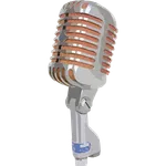 Microphone icon