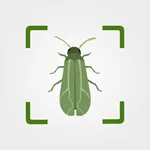 Pest ID icon