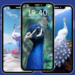 Beautiful Peacock Wallpaper 4K icon