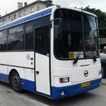 Печоры. Расписание автобусов. icon