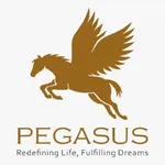 PEGASUS INC icon