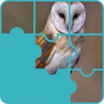 Owls Scary Puzzle Game icon