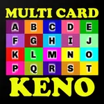 Multi 20 Card Keno icon