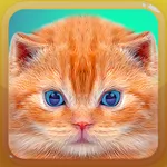 Cat Kitten Meow Sound Board icon