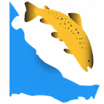 Pesca Deportiva - TDF icon