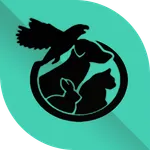 Member Petshop Murah icon