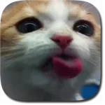 Cat Lick Screen Live Wallpaper icon
