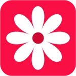 Gallery- photo gallery, album icon