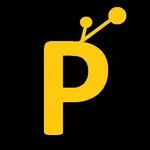 Picasso icon