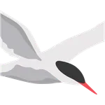 Ternmet icon