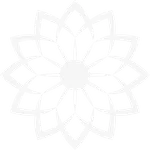 TestAndroidX icon