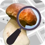 Mushroom Identify - Automatic  icon