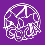 Il Progetto del Capo icon